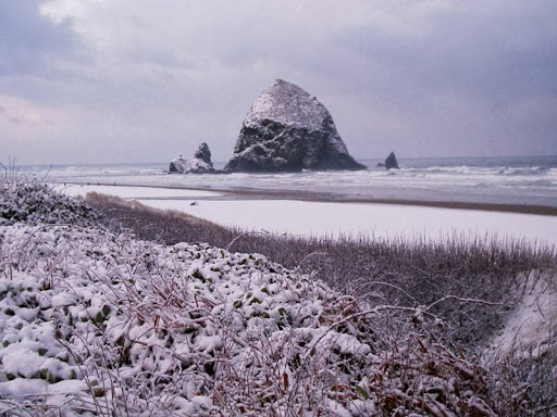 Wine Store «The Wine Shack», reviews and photos, 124 N Hemlock St, Cannon Beach, OR 97110, USA