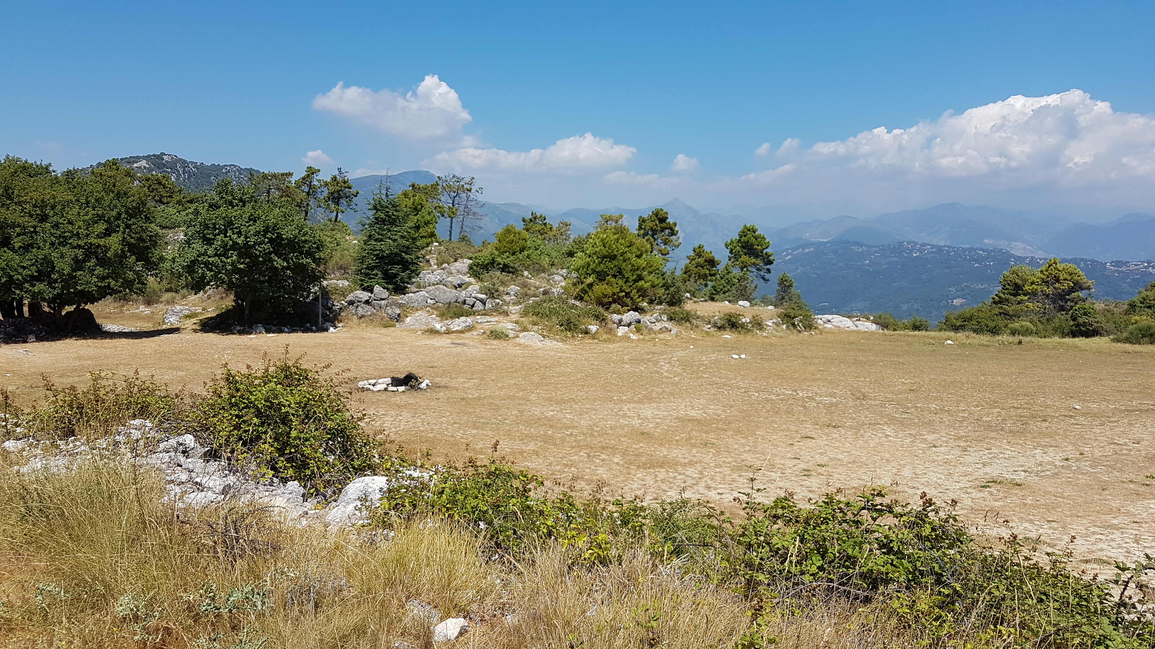 Photo n° 6 de l'avis de Nathalie.r fait le 13/07/2017 à 14:36