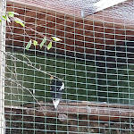 Photo n° 18 de l'avis de Eric.E fait le 27/09/2022 à 17:53 pour Parc de Courzieu à Courzieu