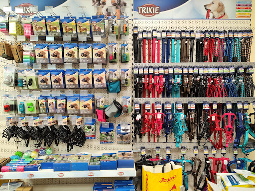 Trixie España en Elche, Alicante