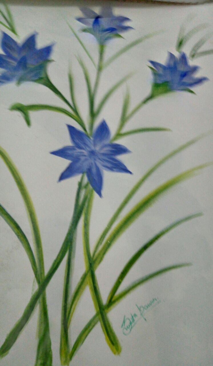 Art Craft Classes Photo, Belagavi, India, School