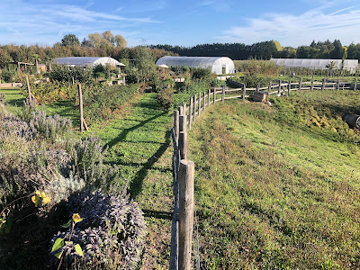 Ferme pédagogique - Ma Petite Madelaine à Chambray-lès-Tours