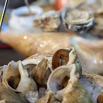 Photo n° 3 de l'avis de Az.z fait le 01/02/2022 à 17:36 pour Brasserie de La Cote BLC à Le Tréport