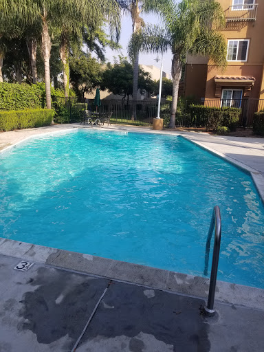 Clear Pool Services