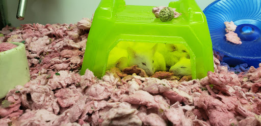 Pet Supply Store «Petco Animal Supplies», reviews and photos, 801 W Lake Ave, Peoria, IL 61614, USA