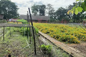 Flower field image