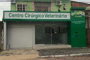 Centro Cirurgico Veterinário Zoo Place image