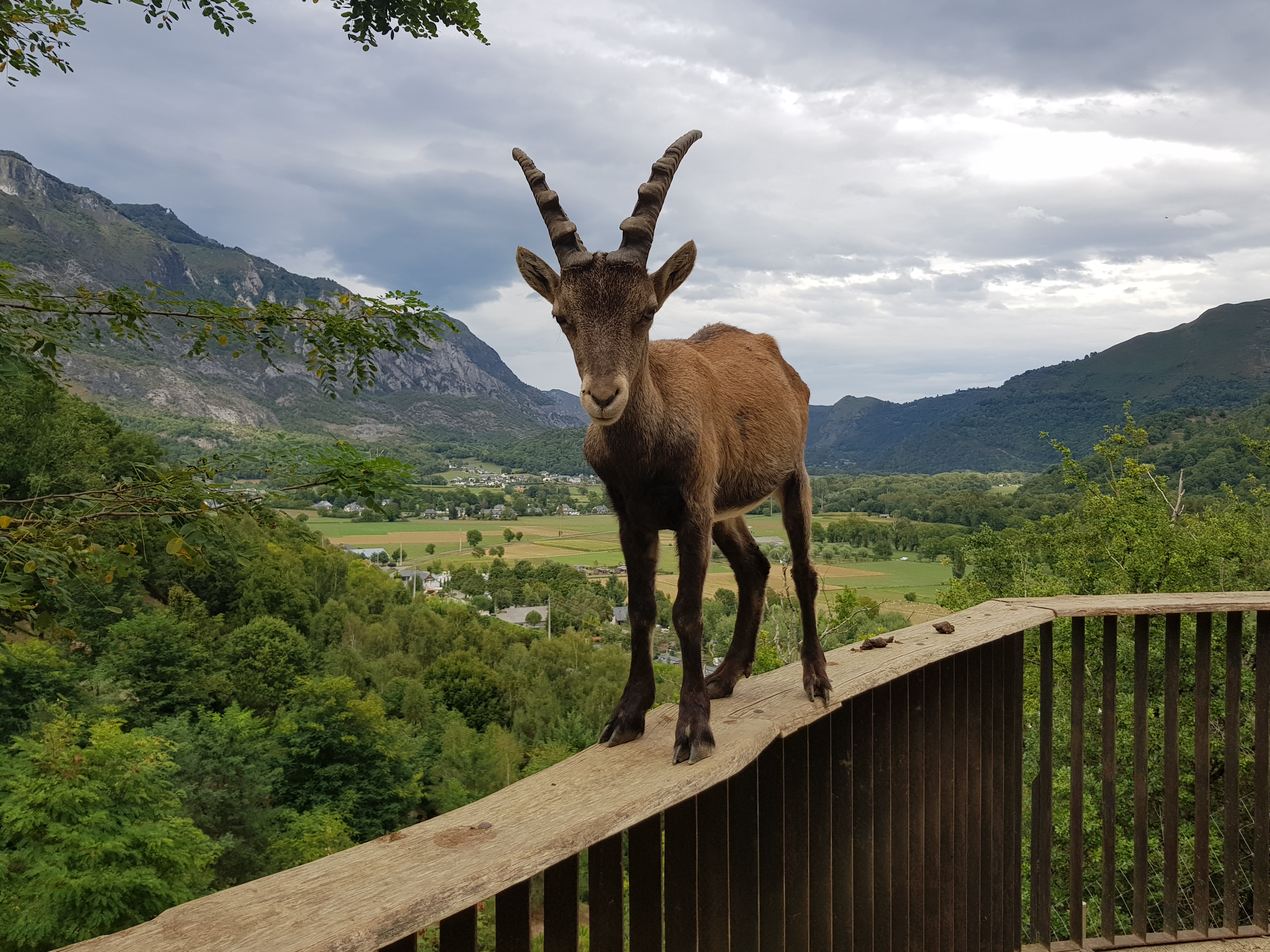 Photo n° 4 de l'avis de King.t fait le 15/09/2021 à 12:05