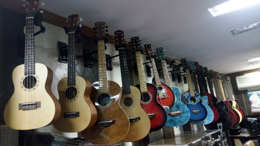 Triveni Musical Stores- Musical Instruments Dealers Jaipur/ Musical Instruments Stores