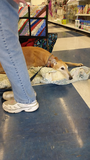 Pet Supply Store «Petco Animal Supplies», reviews and photos, 710 W 66th St, Richfield, MN 55423, USA