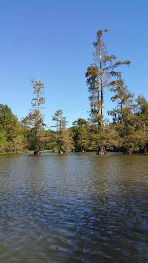 Park «Leake County Water Park», reviews and photos, 1190 Park Rd, Lena, MS 39094, USA