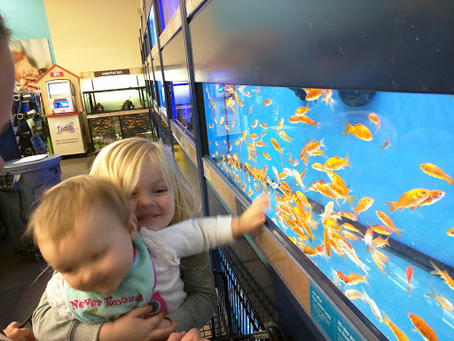 Pet Supply Store «Petco Animal Supplies», reviews and photos, 226 Thornton Drive, Dickson, TN 37055, USA