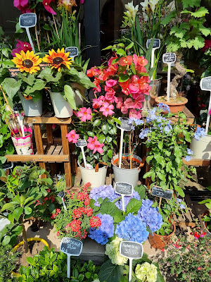 L'atelier papillon : Fleuriste à Talence à Talence