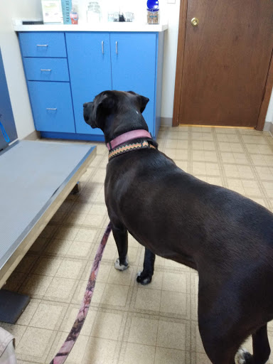 516 Avon Belden Rd, Avon Lake, OH 44012, USA