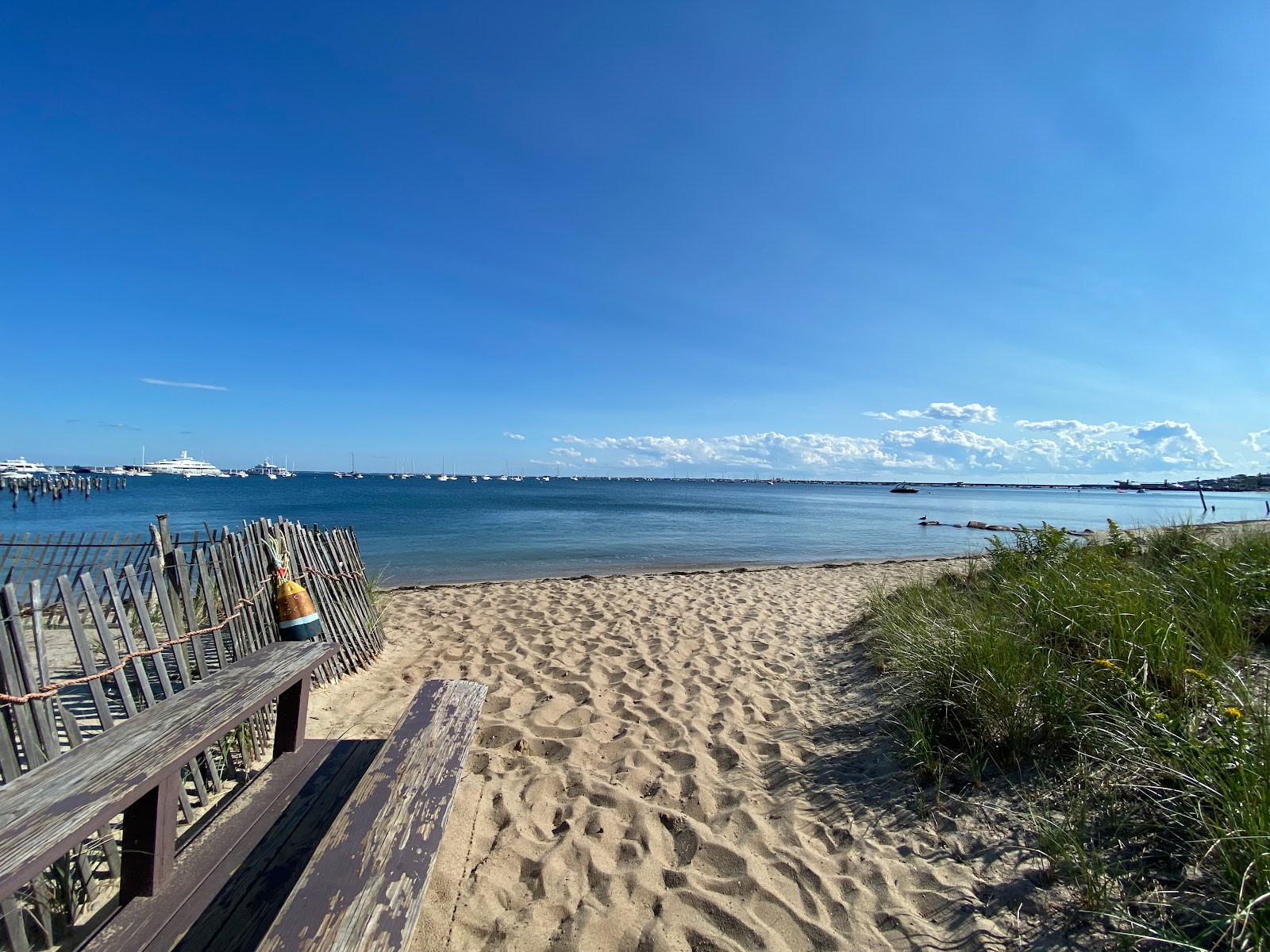 Provincetown beach II的照片 带有宽敞的海岸