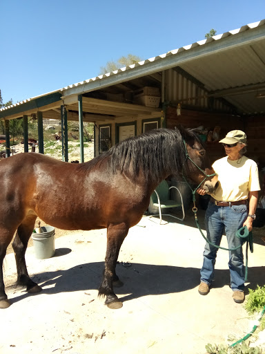 Glen Helen Regional Park image
