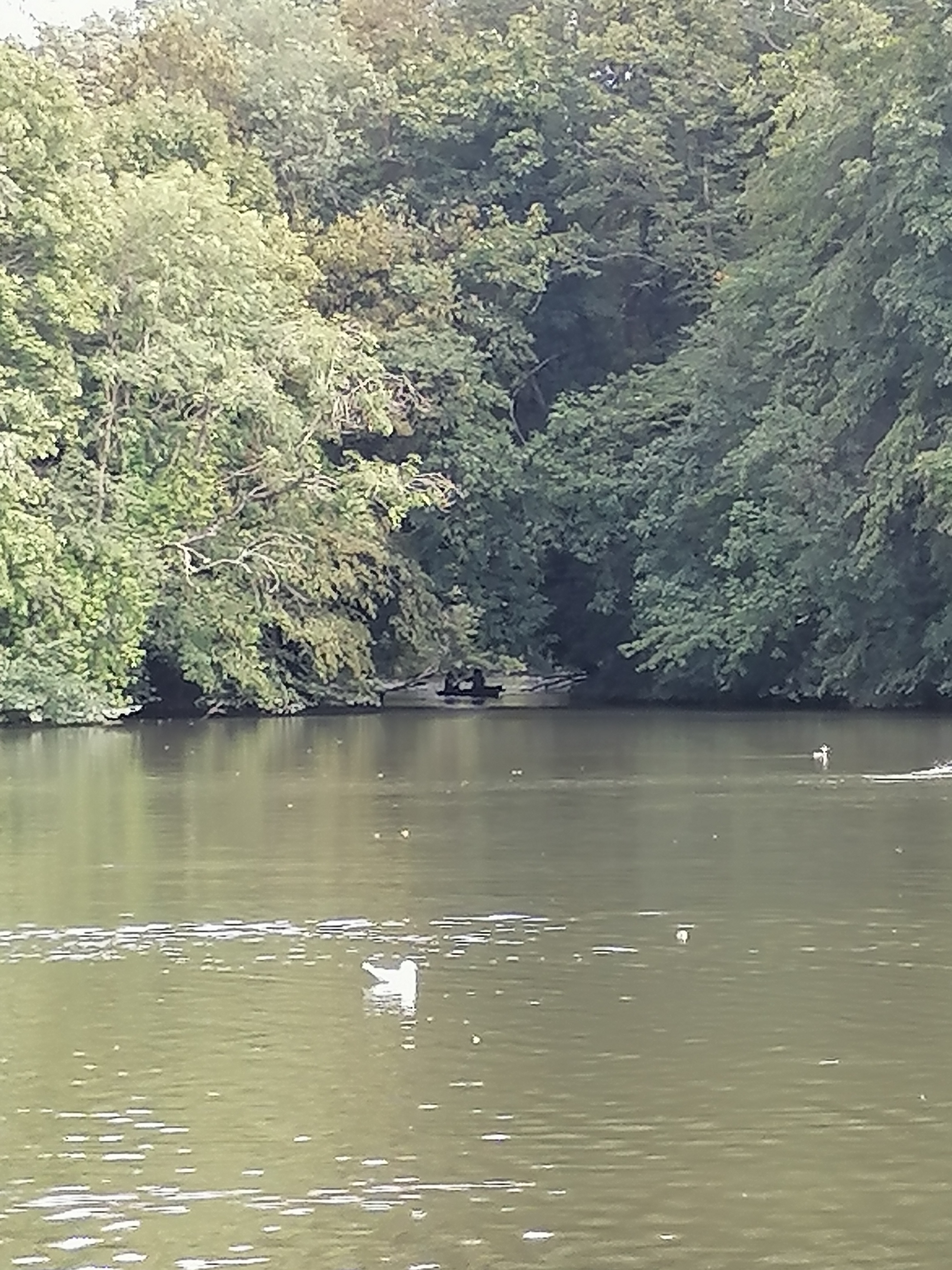 Photo n° 3 de l'avis de FC.h fait le 13/08/2023 à 17:55