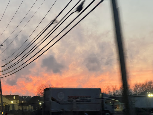 Pet Supply Store «Bay State Pet & Garden Supply», reviews and photos, 429 Winthrop St, Taunton, MA 02780, USA