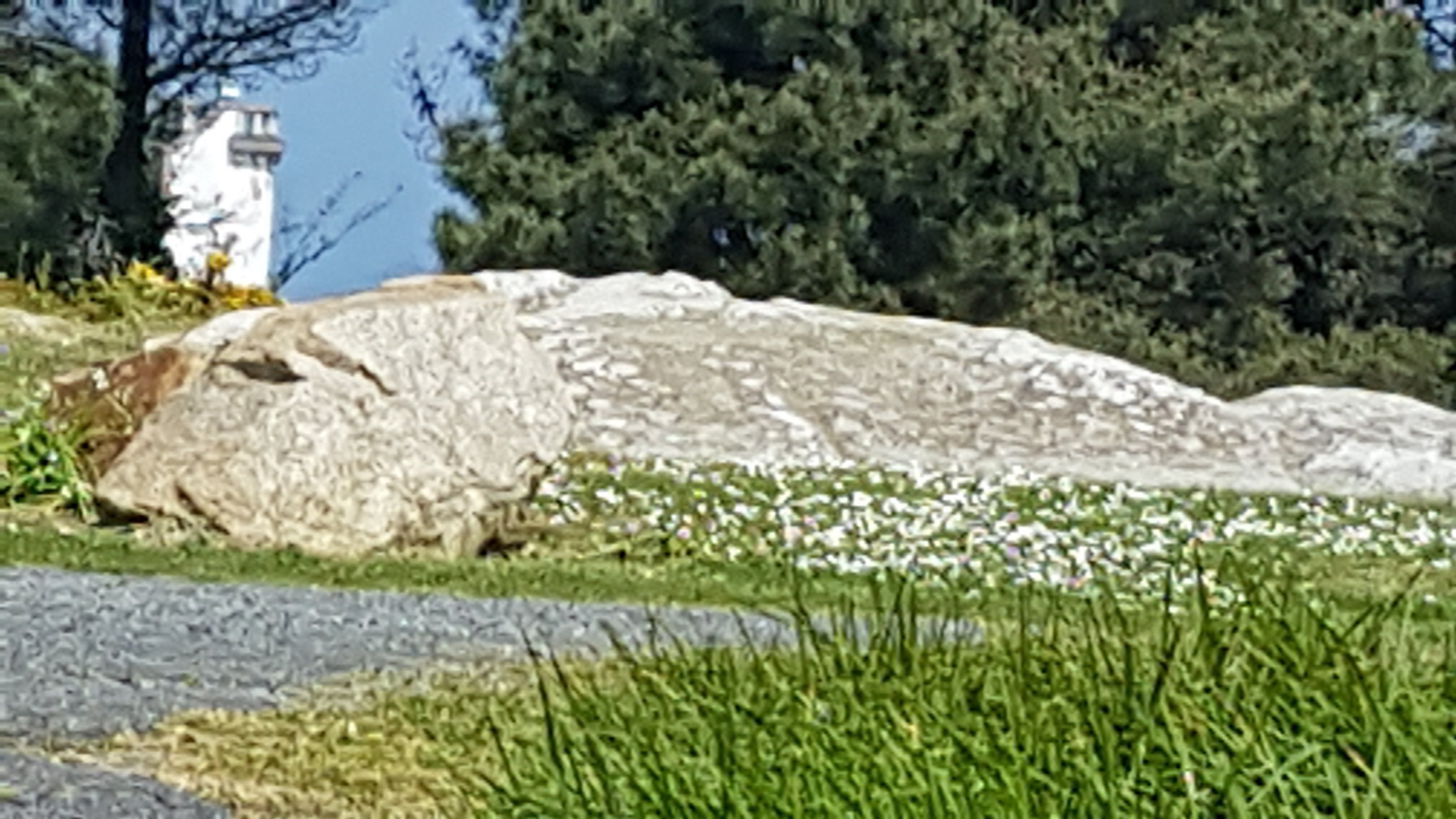 Photo n° 1 de l'avis de herve.u fait le 19/05/2018 à 17:17