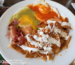 Vips Gonzalitos photo