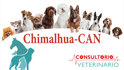 Consultorio Veterinario Chimalhua-Can