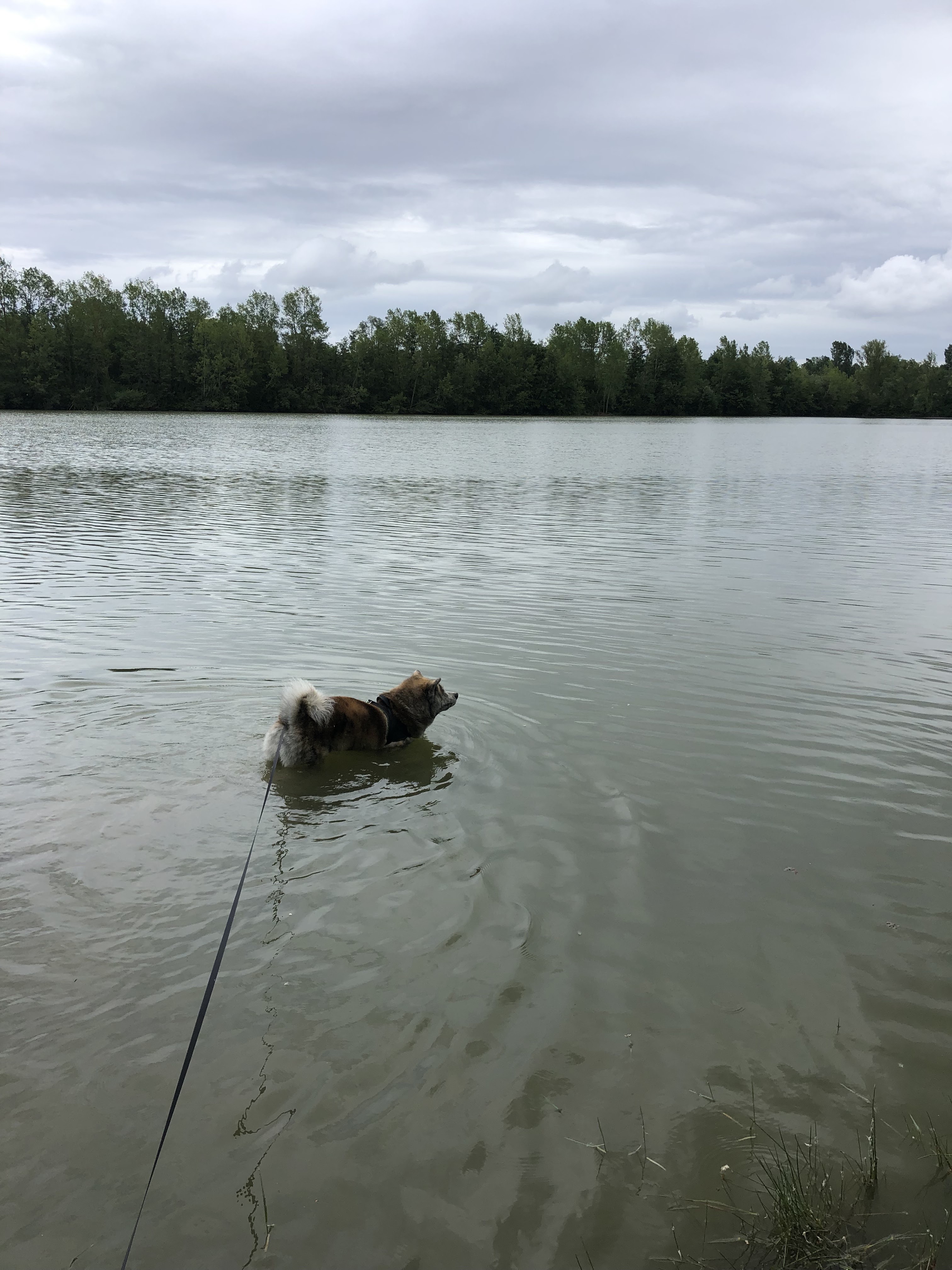 Photo n° 1 de l'avis de Quentin.u fait le 24/05/2022 à 14:31