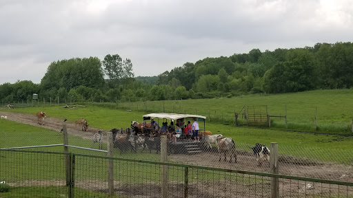Zoo «Dutch Creek Farm Animal Park», reviews and photos, 6255 N 1000 W, Shipshewana, IN 46565, USA