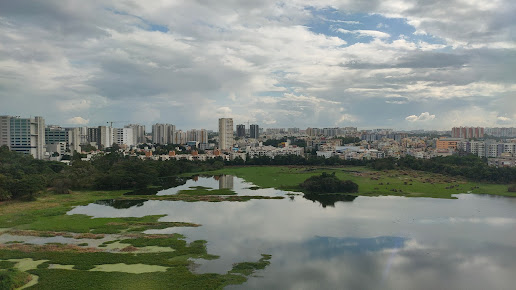 Google Maps image 22