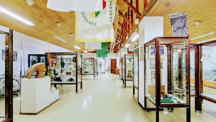 Sporto muziejus