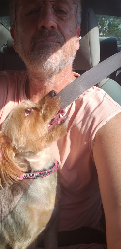 Pet Supply Store «PetSmart», reviews and photos, 637 Woodbury Glassboro Rd, Sewell, NJ 08080, USA