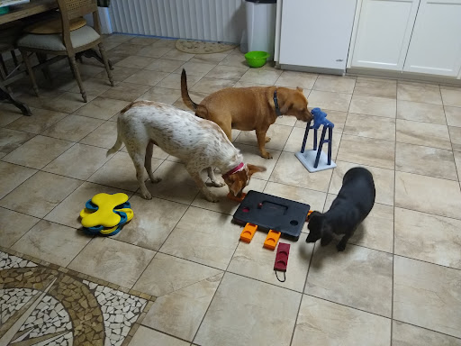 Polly's Pet Grooming