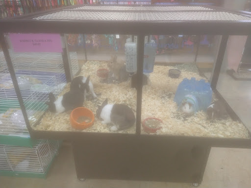 Pet Supply Store «Pet Depot», reviews and photos, 244 Seville St, Florence, AL 35630, USA