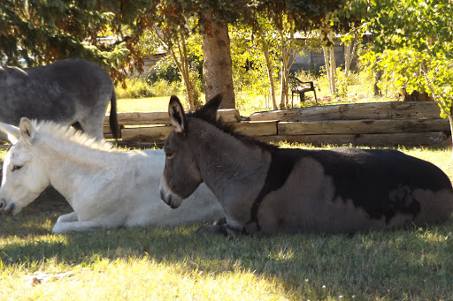 Casino «Wildwood Casino», reviews and photos, 119 N Fifth St, Cripple Creek, CO 80813, USA