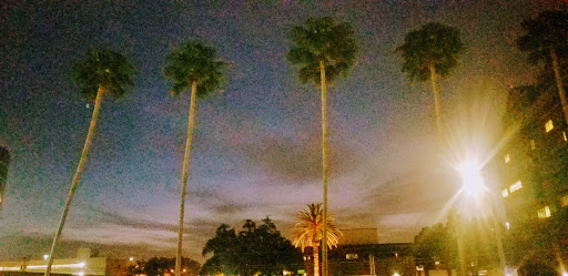 Coffee Shop «Starbucks», reviews and photos, 1508 N Westshore Blvd, Tampa, FL 33607, USA