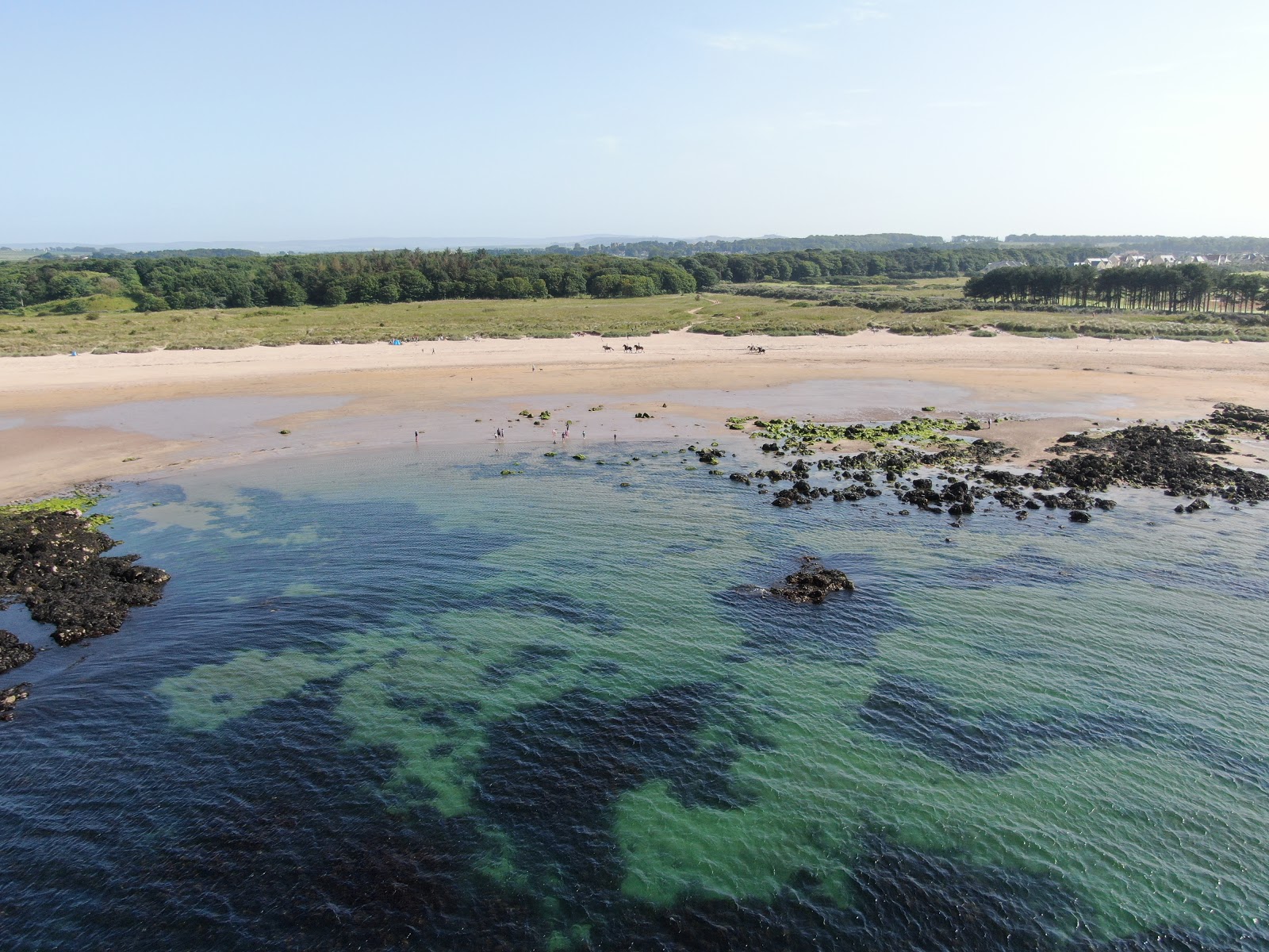 Yellowcraig Beach photo #10