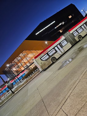 Humber College Terminal - Route 50 / 50A Stop