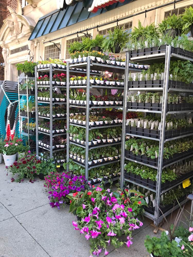 Locksmith «Acme Lock Woods Hardware», reviews and photos, 125 E 9th St, Cincinnati, OH 45202, USA