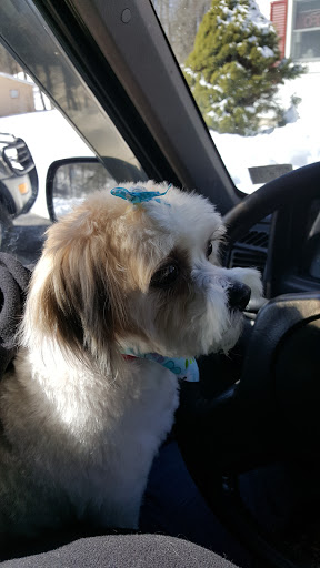 Pet Groomer «Pocono Pets-N-Stuff», reviews and photos, 2571 Milford Rd, East Stroudsburg, PA 18301, USA