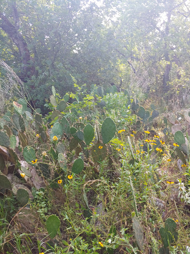 Nature Preserve «Jackson Nature Park», reviews and photos, 9284 County Rd 401, Stockdale, TX 78160, USA