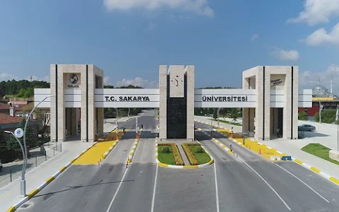 Sakarya University image