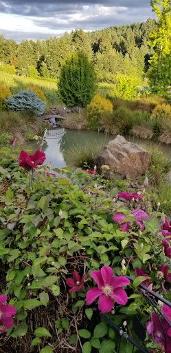 Winery «Pfeiffer Winery», reviews and photos, 25040 Jaeg Rd, Junction City, OR 97448, USA