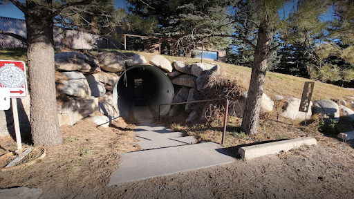 Explore back tattoo ideas for men, creative tattoo ideas in Carbondale, available at Bonedale Tattoo