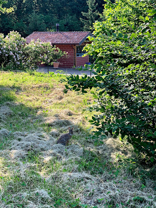 Extérieur Bed & Breakfast La Zolla Rotta 15060 Tassarolo