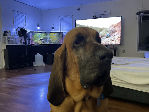 Botetourt Veterinary Hospital image