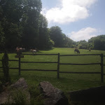 Photo n° 10 de l'avis de Emeric.r fait le 14/07/2021 à 13:46 pour Parc Zoologique et Végetal de Trégomeur à Trégomeur