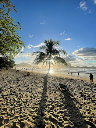 Les plus récentes hôtels Isla Amara Resort 5313 El Nido