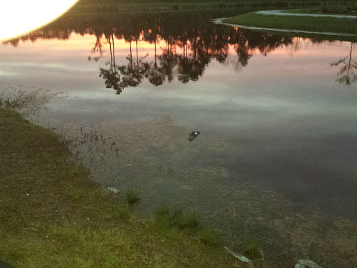 National Forest «Francis Marion National Forest», reviews and photos, 2967 Steed Creek Rd, Huger, SC 29450, USA