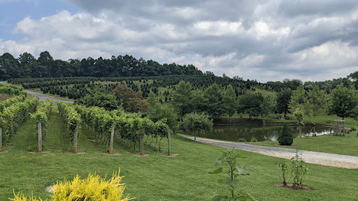 Vineyard «Linville Falls Winery», reviews and photos, 9557 Linville Falls Hwy, Newland, NC 28657, USA