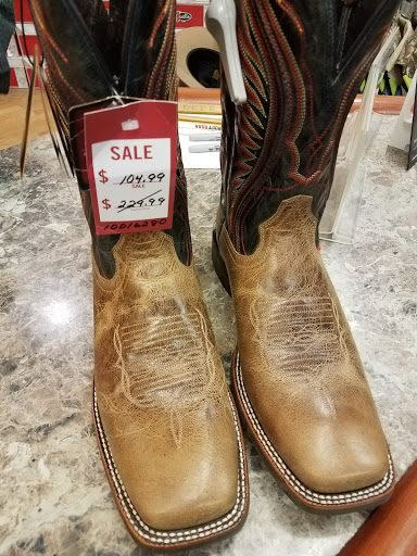 Stores to buy women's alpe boots Phoenix