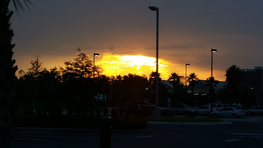 Supermarket «ALDI», reviews and photos, 1702 Blanding Blvd, Middleburg, FL 32068, USA